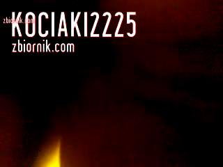 kociaki2225
