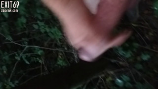 spust w lesie.mp4