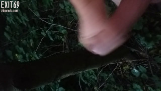 spust w lesie.mp4
