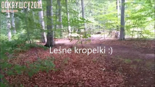 Leśne kropelki :)