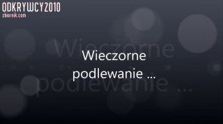 Wieczorne podlewanie ...