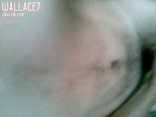 CAM00029.mp4