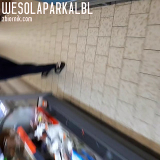 wesolaparkalbl