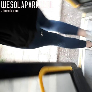 wesolaparkalbl