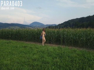 Spacer3.wmv