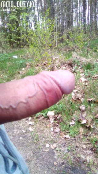 VID_20180423_134322.3gp