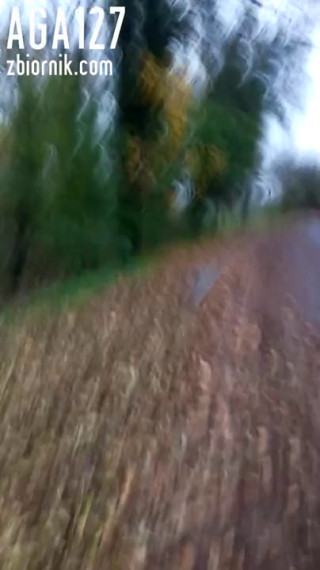 VID_20201101_161907.3gp