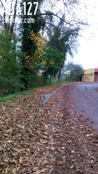 VID_20201101_161907.3gp