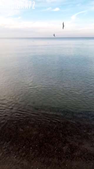 20201115_141920.mp4