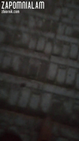 VID_20201223_155855.mp4