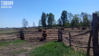 20180506_142400.mp4
