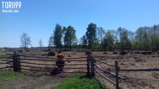20180506_142400.mp4