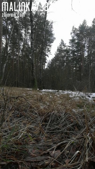 VID_20210122_135555.mp4