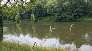 20210626_130751.mp4