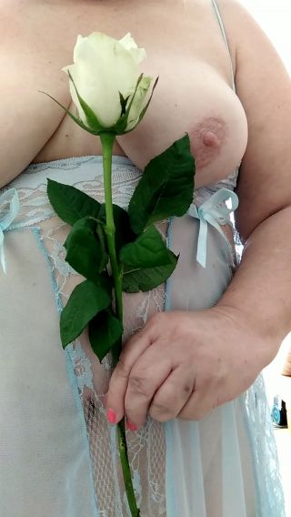 Róża od M.
