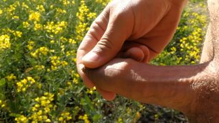 VID_20210604_085553.mp4