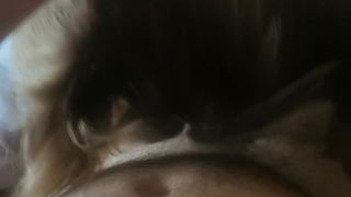VID_20211111_101828.mp4
