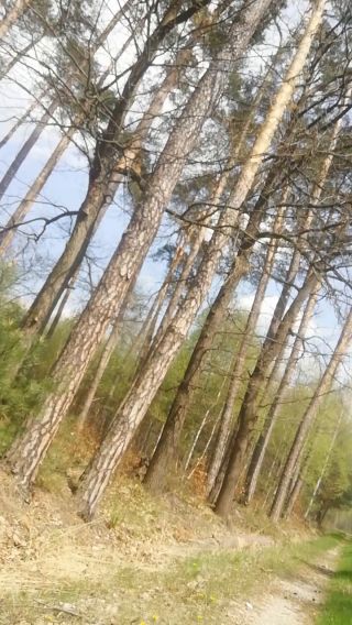 VID_20220502_133913.mp4