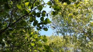 20220523_101732.mp4