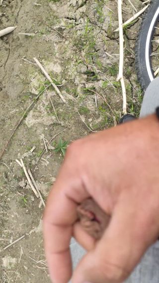 VID_20220529_155602.mp4
