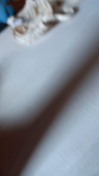 20220704_145650.mp4