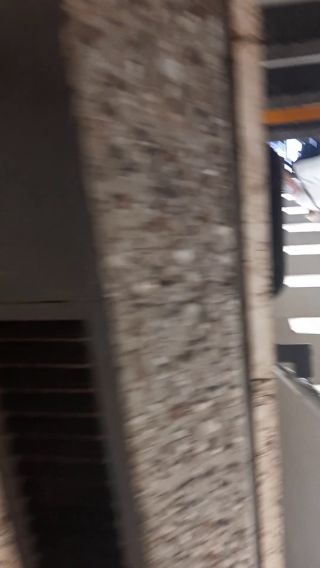 2222221.mp4