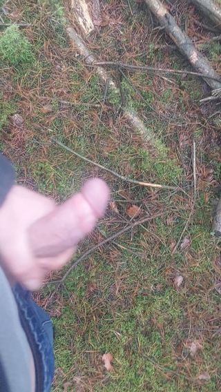 20230113_123655.mp4