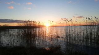 VID_20230127_162541.mp4