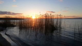 VID_20230127_162303.mp4