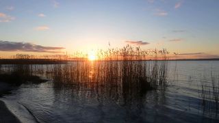 VID_20230127_162303.mp4