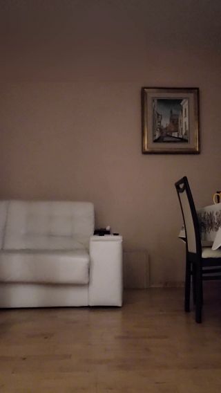 20230306_193655.mp4