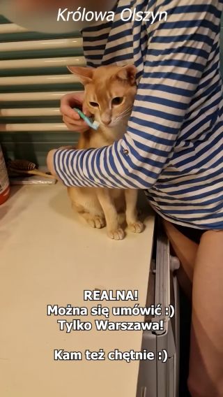 zzzzz.mp4