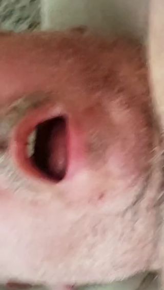 VID_20230425_095304.mp4