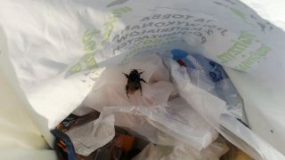 VID_20221016_145548.mp4