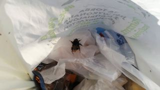 VID_20221016_145548.mp4