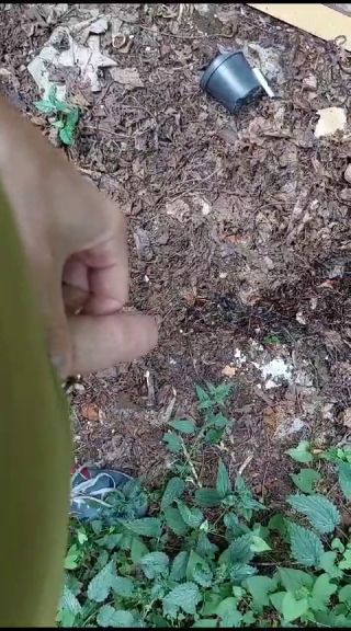 VID-20230801-WA0000.mp4