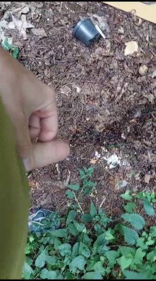 VID-20230801-WA0000.mp4