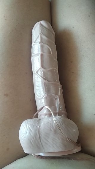 Dorodny kutas