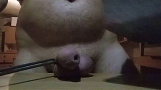 VID20231027005156.mp4
