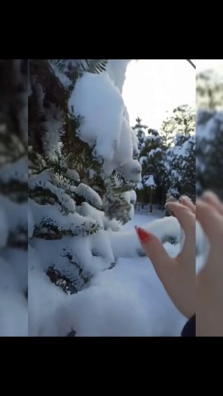 InShot_20231128_091748398.mp4