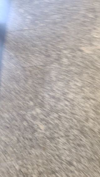 upskirtLove