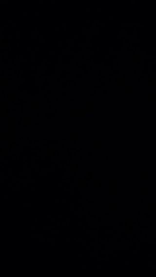 niby film.mp4