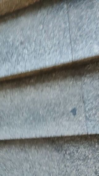 upskirt-004.mp4