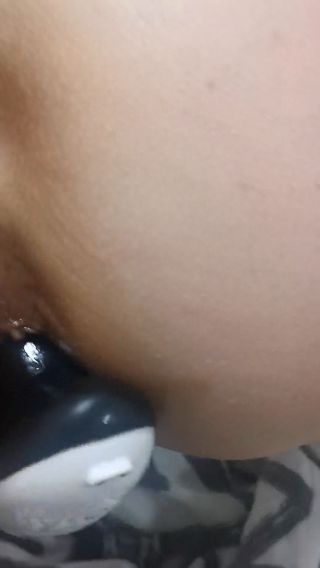 daysi84