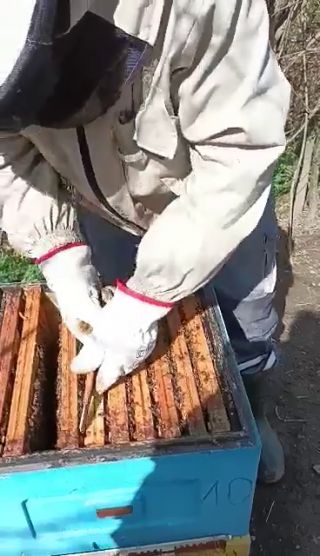 766E3D78-8532-4F6F-917D-162CA89055B4.mov