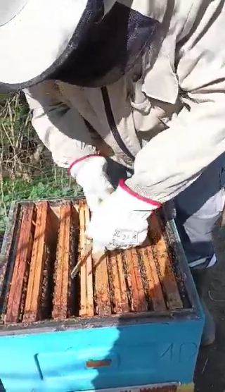 766E3D78-8532-4F6F-917D-162CA89055B4.mov