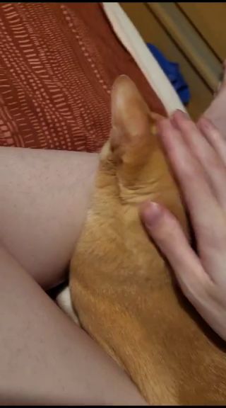 VID-20231009-WA0003.mp4