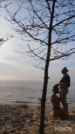 VID_20240612_194742.mp4