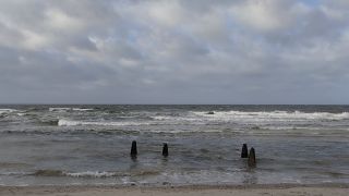 VID_20240201_132159.mp4