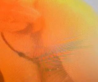 1000022049.mp4